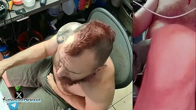 HouseOfHans webcam