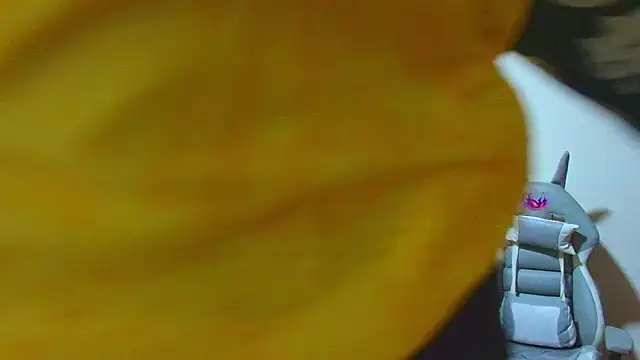 sayumi_dirty webcam
