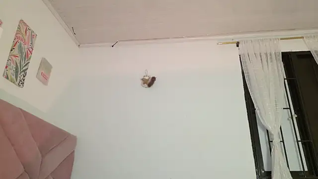 eva_sin18 webcam