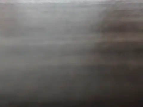 Loyal_Alisha webcam