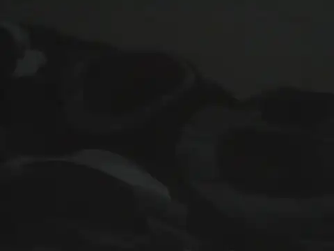 Bigass_sexyboobs webcam