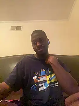 ThickDic28 webcam