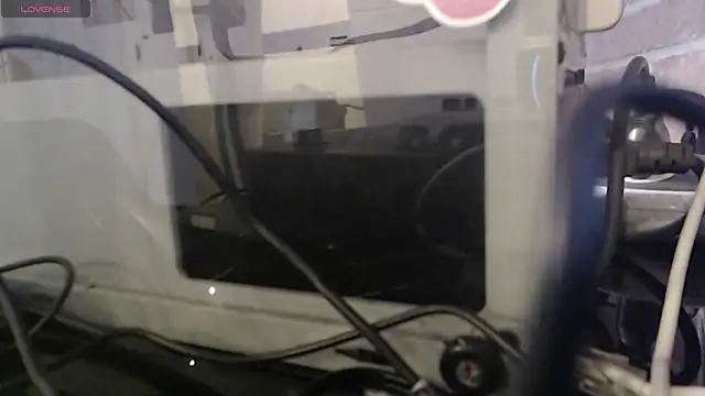 thebesthot webcam