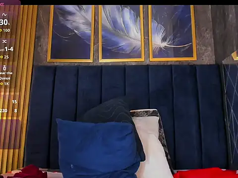Lancelot_Benwick webcam