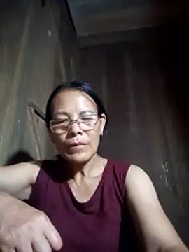toyo_668 webcam