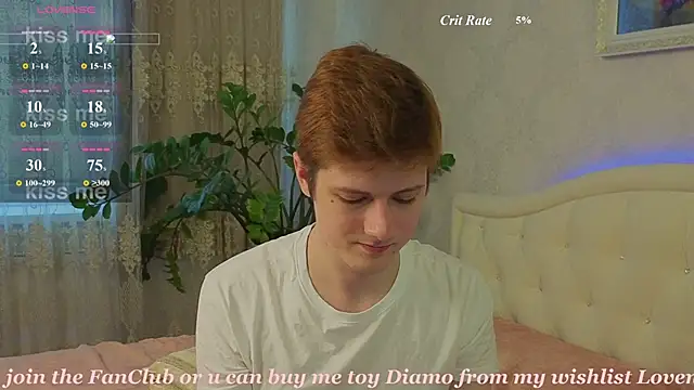 Allert_ webcam