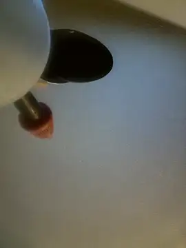 yourMasterisBored webcam