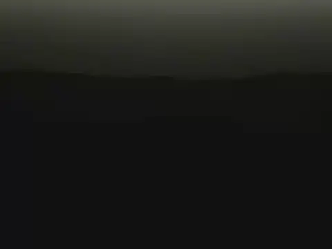 taffi2 webcam