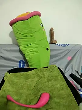 Jellci webcam