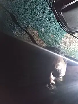 tinnyguy webcam