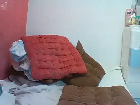 Shanskyy webcam