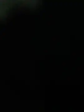 pintuS40 webcam