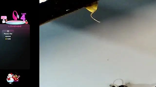 Pyari1 webcam