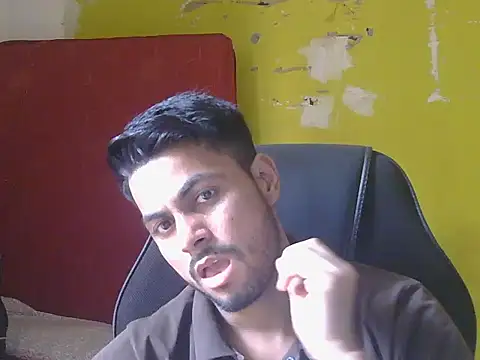 Stubborndesiboy webcam