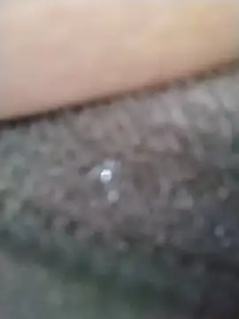 traiwe06 webcam