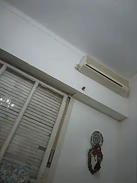 ViudaX webcam