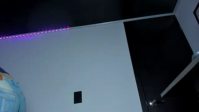 Valentina_js webcam
