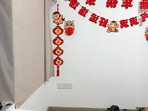 KK-168 webcam