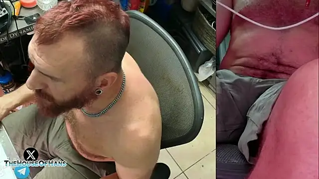 HouseOfHans webcam