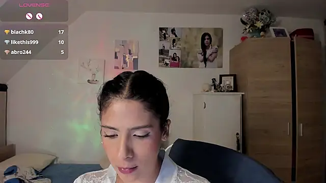 Veronikolsen- webcam