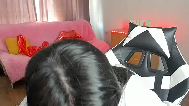 KisaModel webcam