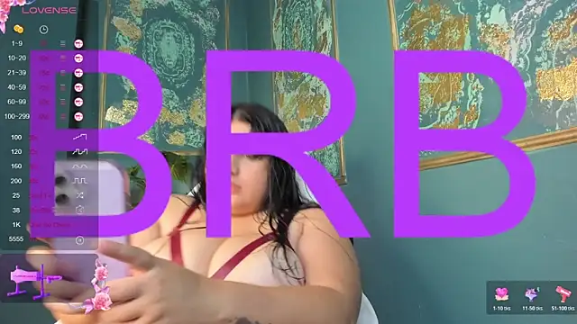 SofiaRousel webcam