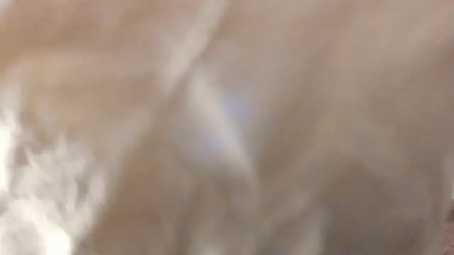 Jade_Dorthini webcam