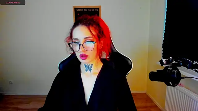 your_tora webcam