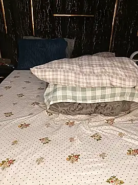 firewaist webcam