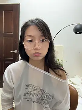 wt0314 webcam