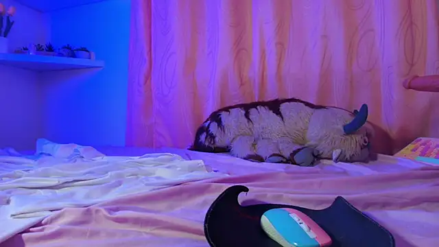 Evan_Rose webcam