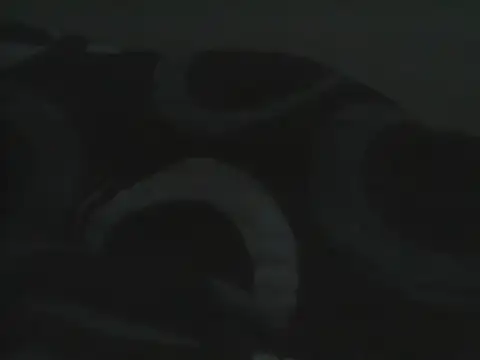 Bigass_sexyboobs webcam