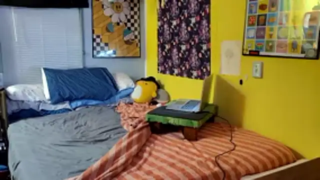 LordSpunFun webcam