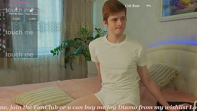 Allert_ webcam
