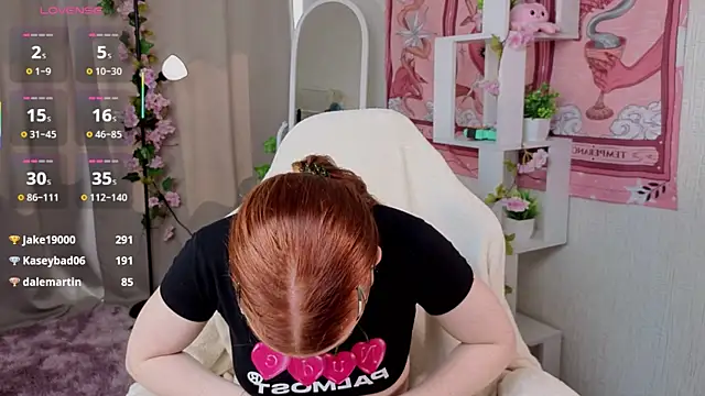 Sparky_fox webcam