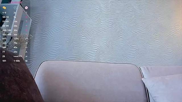 SageFrommer webcam