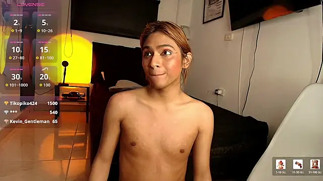 imgerver webcam