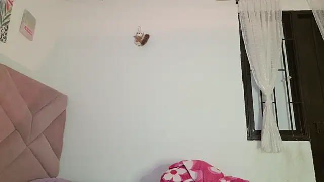 eva_sin18 webcam
