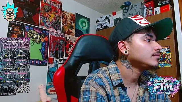 Hgp3riodictabl3 webcam
