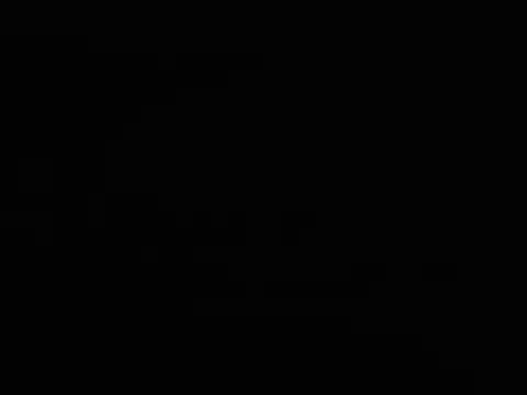 jelkem webcam