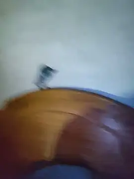 gatimiau77 webcam