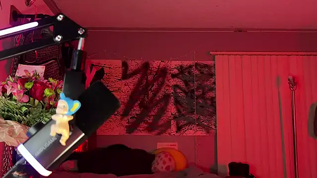 xoFrankie webcam