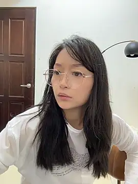 wt0314 webcam