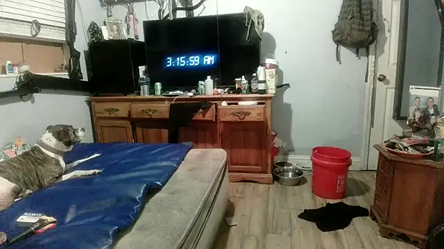 PornStro921 webcam