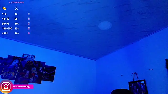 Nicorobinn webcam