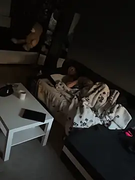 Mohdollmen webcam