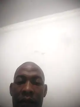 zuludog webcam