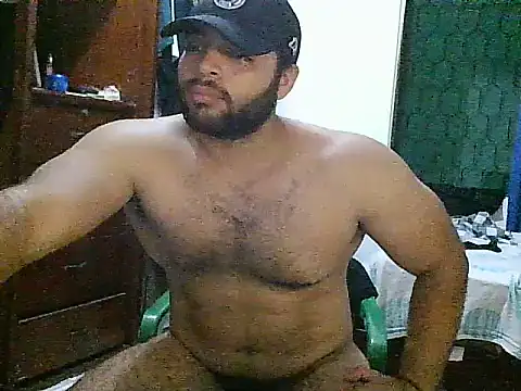 Bearmachin webcam