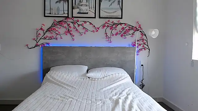 Krispyshot webcam
