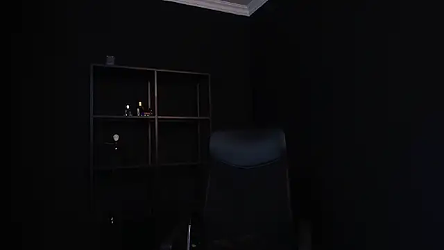 FelixStarkk webcam